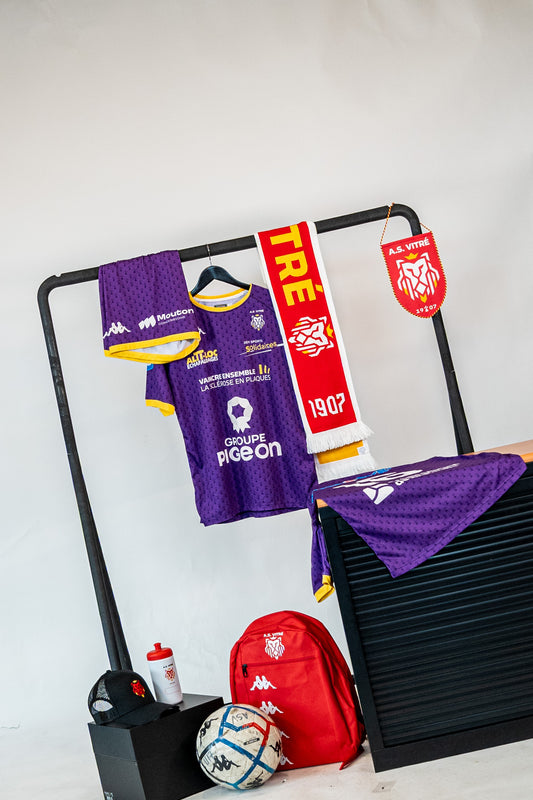 Maillot N3 - Gardien Violet